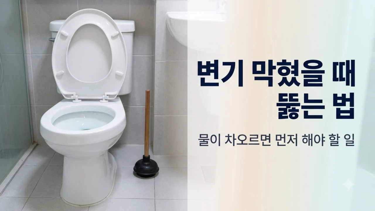 변기 물이 정상적으로 내려가지 않고 차올라 변기용 뚫어뻥을 준비한 화장실 모습